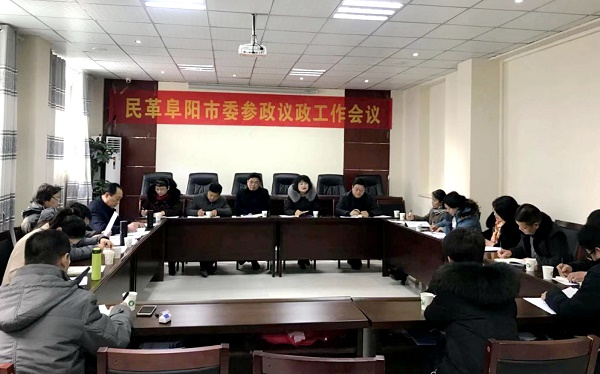 民革参政议政工作会议.jpg