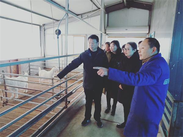 在临泉县长官镇安徽恒丰牧业有限公司实地调研.jpg