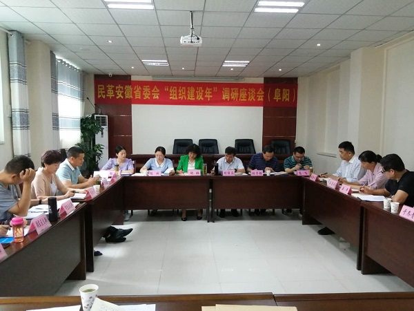 安徽民革来阜调研.jpg