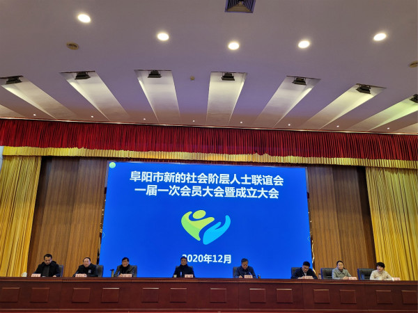 阜阳市成立新的社会阶层人士联谊会1.jpg