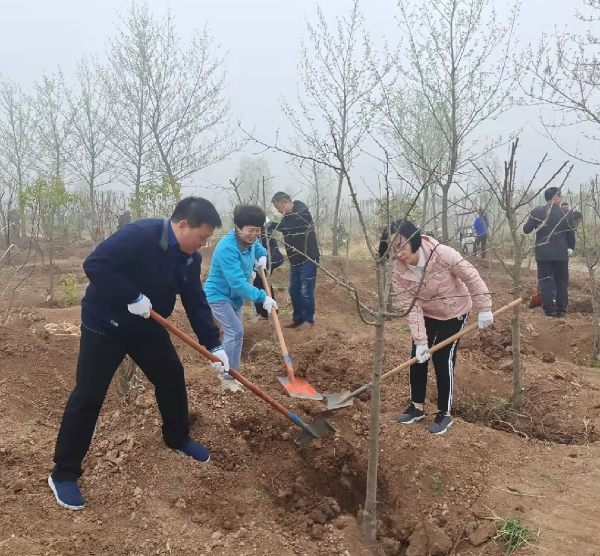 民盟阜阳市委开展义务植树活动3.16.png